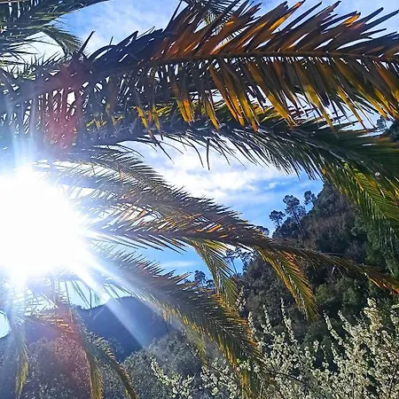 Διαμέρισμα 20