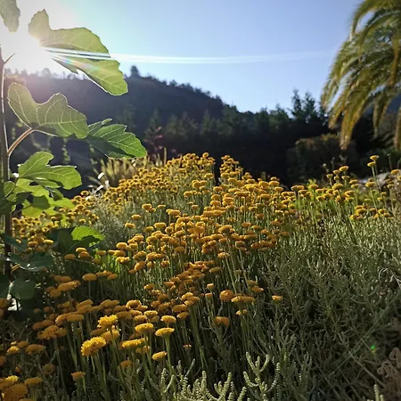 Διαμέρισμα 20